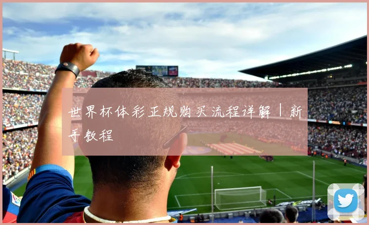 世界杯体彩正规购买流程详解｜新手教程