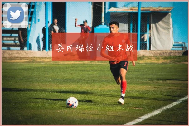 委内瑞拉小组末战