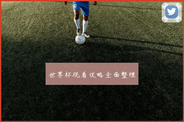 世界杯观看攻略全面整理