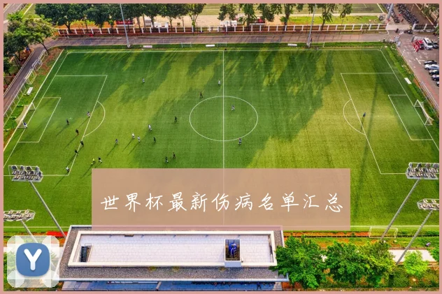 世界杯最新伤病名单汇总
