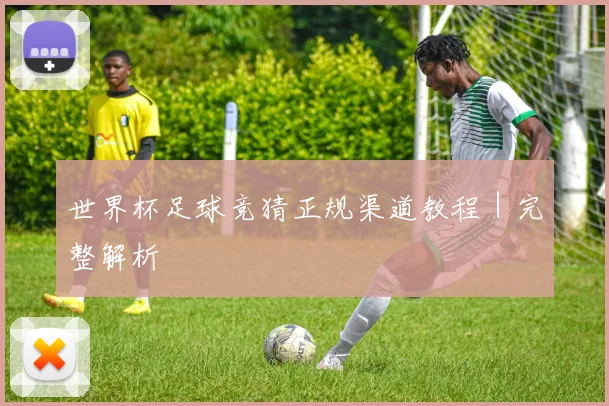 世界杯足球竞猜正规渠道教程｜完整解析